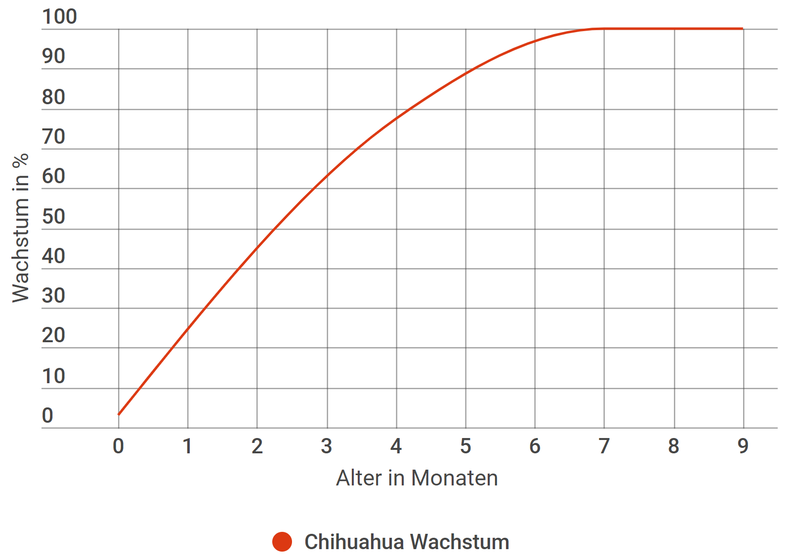 Chihuahua Wachstum in Prozent