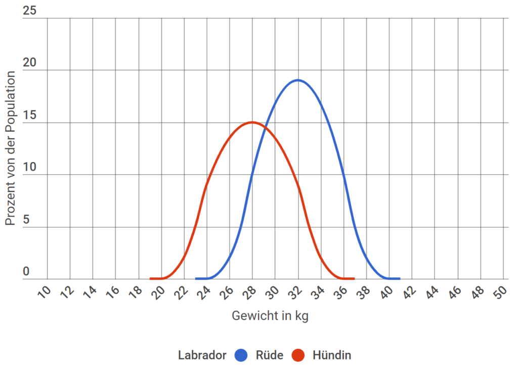 Labrador Retriever Gewicht Population