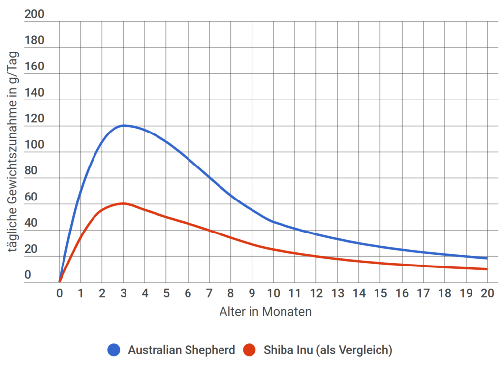 Australian Shepherd Welpe - Tägliche Gewichtszunahme