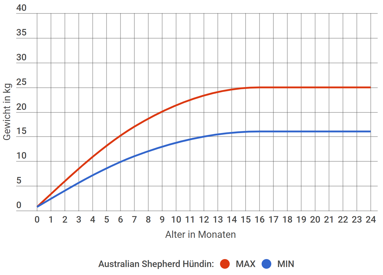 Australian Shepherd Wachstum Hündin