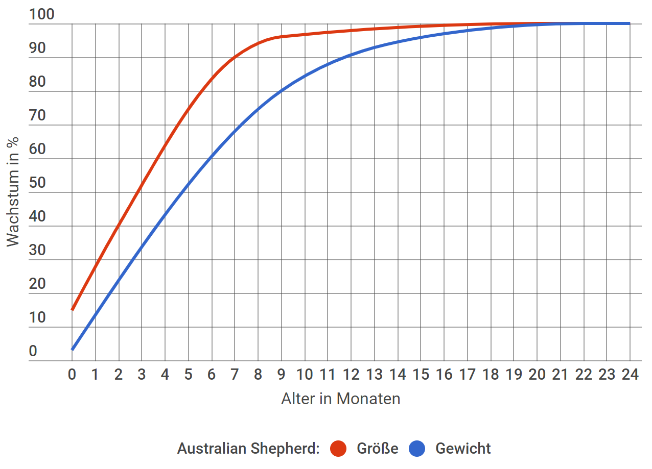 Australian Shepherd Wachstum in Prozent