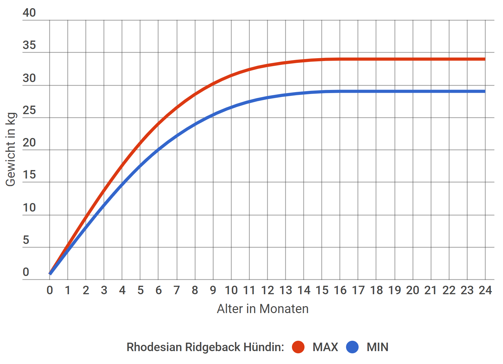 Rhodesian Ridgeback Wachstum Hündin